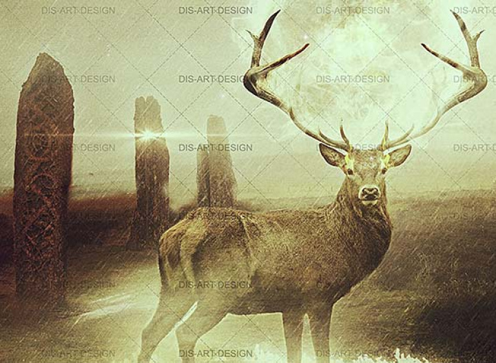 CDA_CODE_075