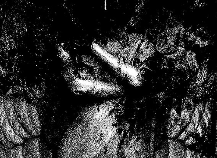 M_CODE_016